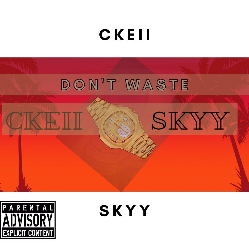 Don't Waste Mine (feat. Skyy) (Explicit)