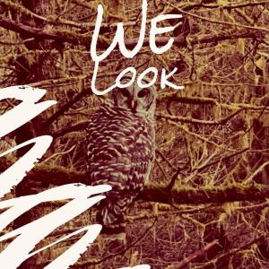 Listen to Certainly Bloodied song with lyrics from Chal Zamo