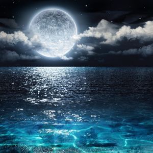 Dengarkan lagu Bridge over Water nyanyian The Sleep Specialist dengan lirik