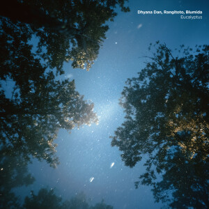 Dhyana Dan的专辑Eucalyptus (Ambient Version)