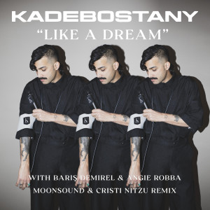 Album Like a Dream (Moonsound & Cristi Nitzu Remix) from Kadebostany