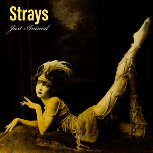 Just Animal (Explicit) dari Strays