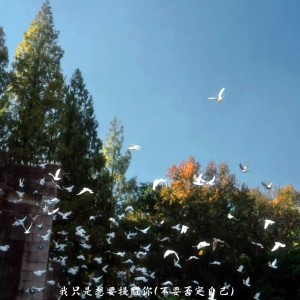 Listen to 我只是想要提醒你 (不要否定自己) song with lyrics from 相片纸