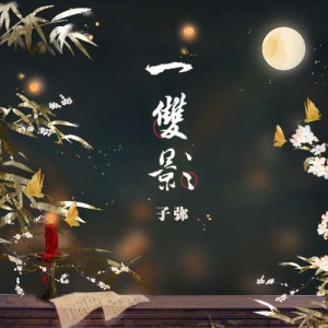 子弥的专辑一双影