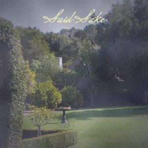 Listen to Said Sake song with lyrics from Laka Sattie