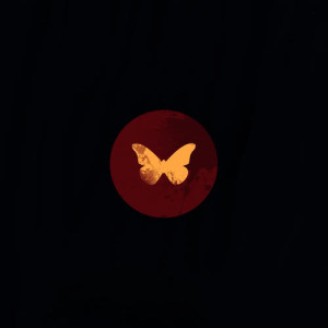 收聽Nemes的Butterfly歌詞歌曲