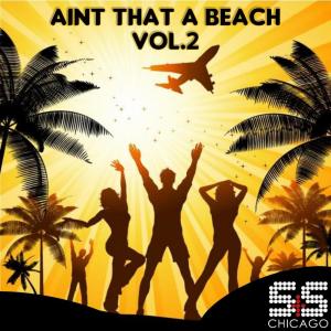 Various Artists的專輯Ain't That A Beach Vol.2