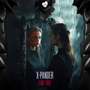 Album Like You from X-Pander