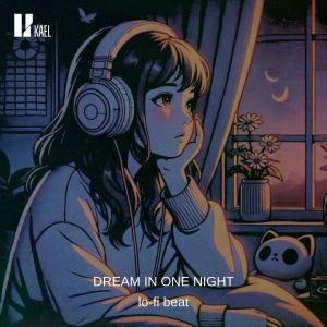 收聽Kael的Dream in one night歌詞歌曲