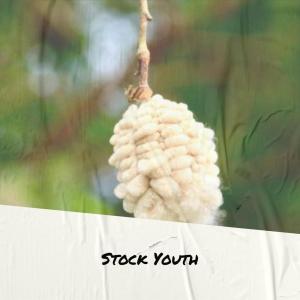 Album Stock Youth from Various