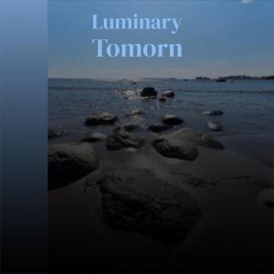 Album Luminary Tomorn from 