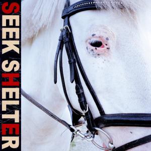 Iceage的專輯Seek Shelter (Special Edition) (Explicit)