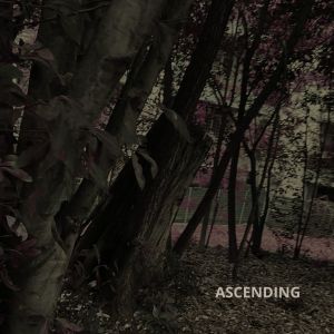 Listen to Ascending song with lyrics from Amanda Mancini