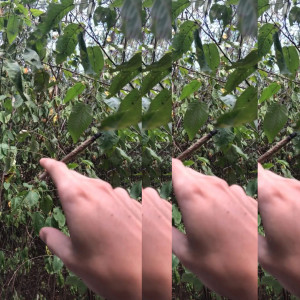 收聽Pedro Bala的Pra Quebrar os Castelos歌詞歌曲