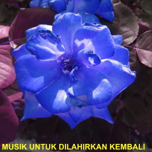 Dengarkan Musik Untuk Dilahirkan Kembali lagu dari Roberto Panduan dengan lirik