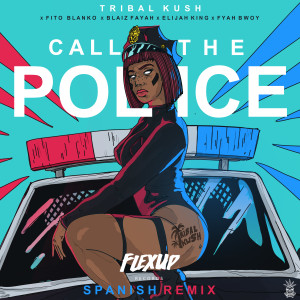 Listen to Call the Police (Spanish Remix) song with lyrics from Tribal Kush