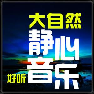 好听的专辑大自然的催眠曲【好听音乐】舒压\静心\助眠\治愈\瑜伽
