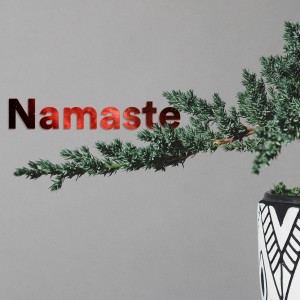 Namaste的專輯Namaste