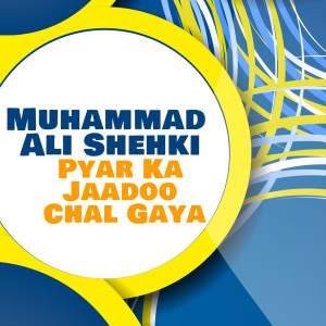 收听Muhammad Ali Shehki的Yahan Hoon Main Kahan Ho Tum歌词歌曲