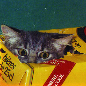 Dengarkan lagu Domino nyanyian The Fairweather Band dengan lirik