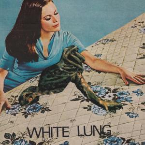 ดาวน์โหลดและฟังเพลง Two of You พร้อมเนื้อเพลงจาก White Lung