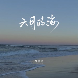 Album 六月的海 from 苏星婕