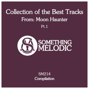 Listen to My Last Try (Original Mix) song with lyrics from Moon Haunter