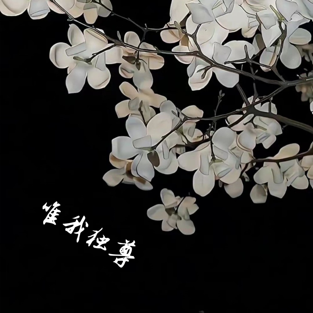 唯我独尊 (DJ版)