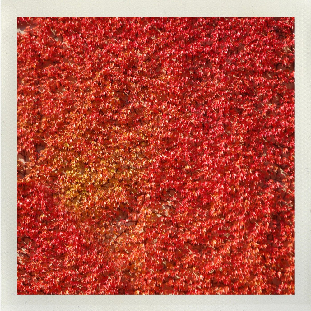 Wasserspielplatz (ZDS Love Drums Remix)