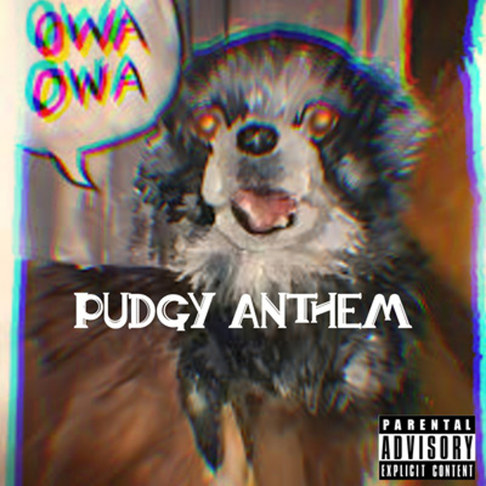 DDark Ft Sensei D - Owa Owa (Pudgy Anthem)