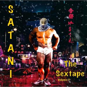 收聽Satani的Shake your Booty (feat. Fivest4rboi) (Explicit)歌詞歌曲