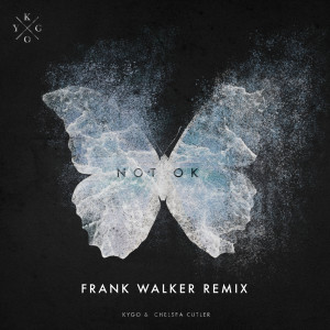 收聽Kygo的Not Ok (Frank Walker Remix)歌詞歌曲