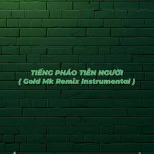 Album TIẾNG PHÁO TIỄN NGƯỜI (Gold Mk Remix Instrumental) from Hùng Quân