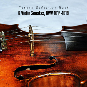 收聽Johann Sebastian Bach的Sonata I for Violin and Harpsichord - I. Adagio in B Minor歌詞歌曲