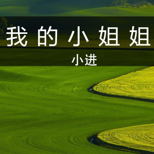 小进的专辑我的小姐姐