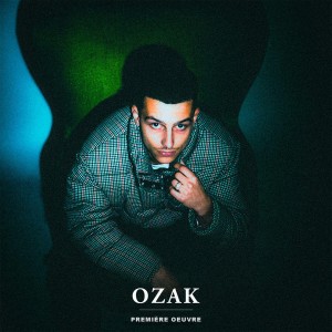 Listen to Elle aime trop (Explicit) song with lyrics from Ozak