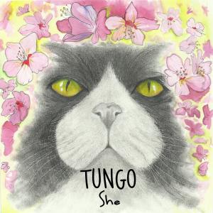 Listen to She song with lyrics from Tungo