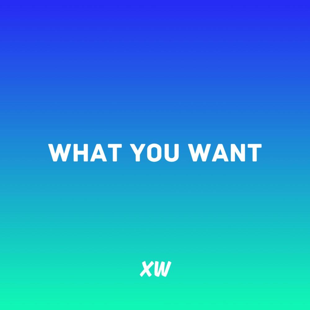 What You Want (feat. Moon Beatz) (Explicit)