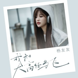 Listen to 我知天高任鸟飞 song with lyrics from 杨友友