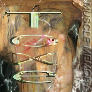 Listen to Anim song with lyrics from Toxe