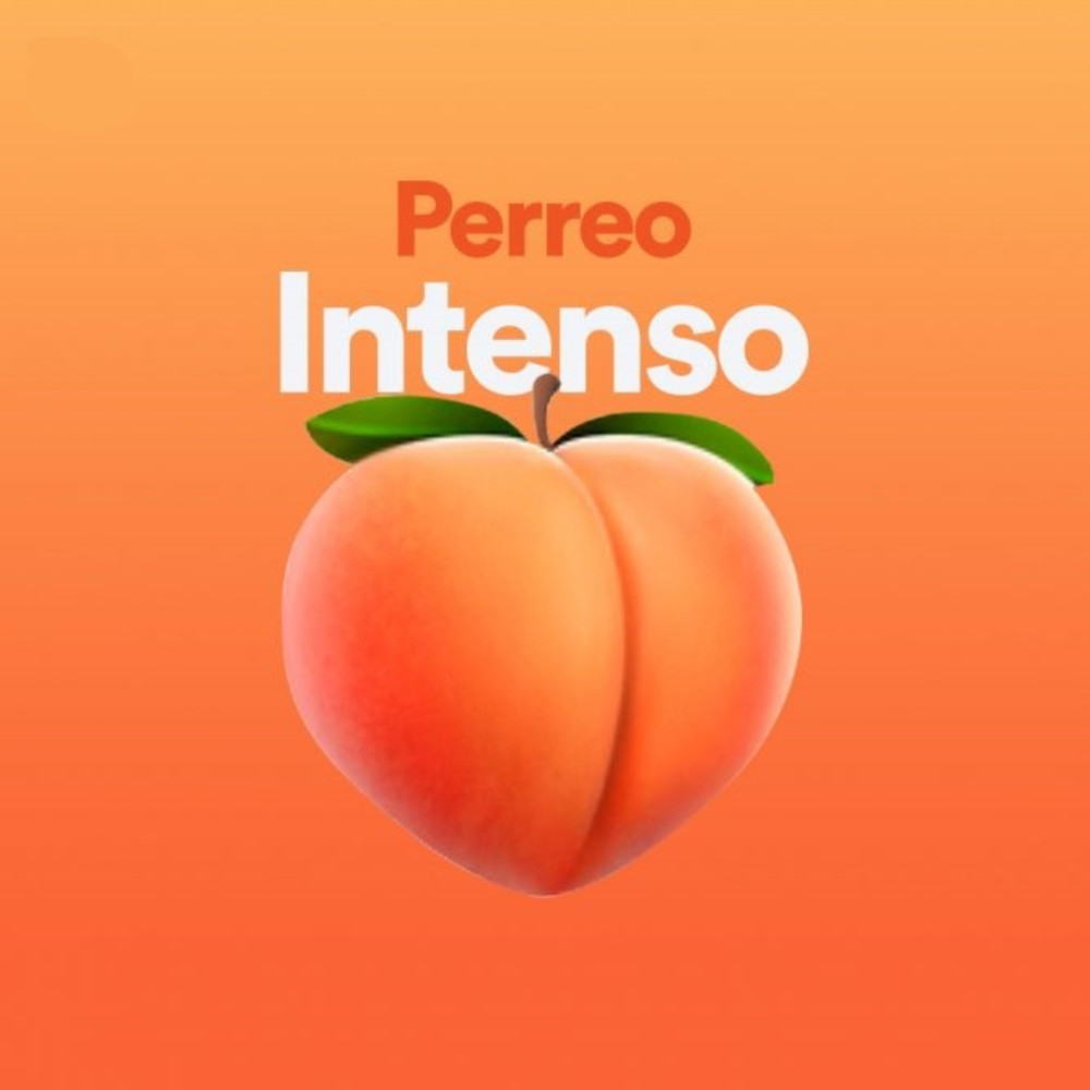 Perreo Intenso Mix