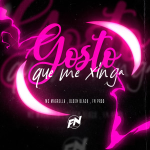 MC MAGRELLA的專輯Gosto que tu me xinga (Explicit)