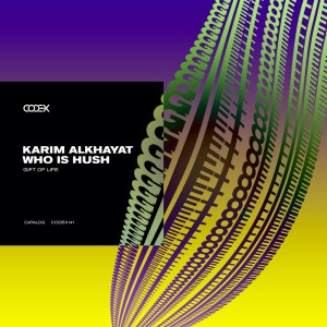 Listen to The Universe (Original Mix) song with lyrics from Karim Alkhayat