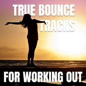 Album True Bounce Tracks For Working Out from Various Artists