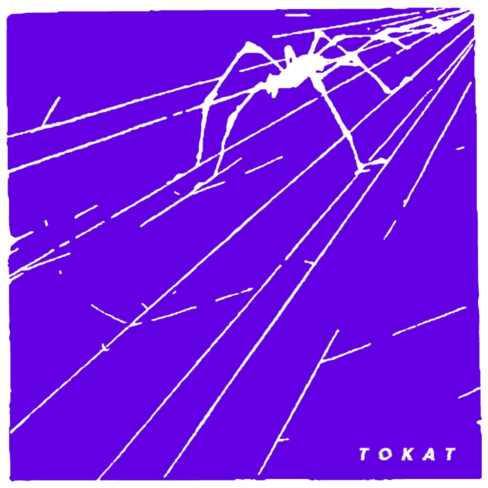 Polarity