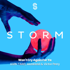 Listen to Won't Cry Again For Ya song with lyrics from LEØN TARØ