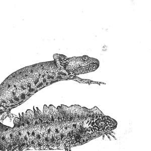 收聽SUNDEW的i just fell off!! (Explicit)歌詞歌曲