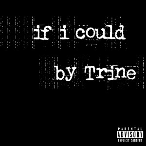 Listen to If I Could (Explicit) song with lyrics from Trine