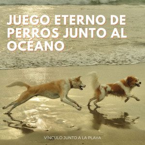 ดาวน์โหลดและฟังเพลง Olas De Felicidad En La Playa พร้อมเนื้อเพลงจาก Melodía de la tierra