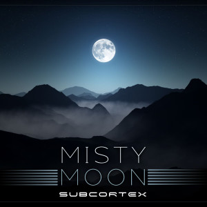 Listen to Misty Moon (Original Mix) song with lyrics from Subcortex